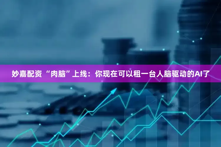 妙嘉配资 “肉脑”上线：你现在可以租一台人脑驱动的AI了