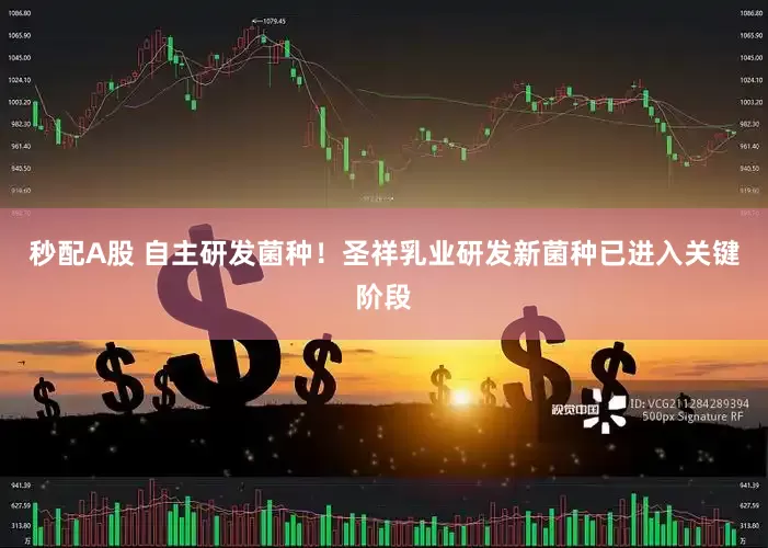 秒配A股 自主研发菌种！圣祥乳业研发新菌种已进入关键阶段