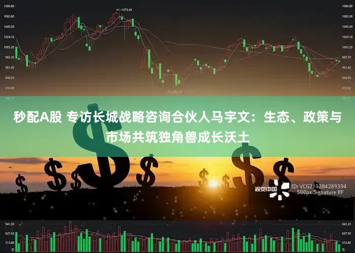 秒配A股 专访长城战略咨询合伙人马宇文：生态、政策与市场共筑独角兽成长沃土
